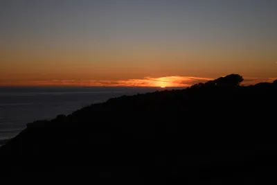 DSC_2558 (Large).JPG